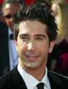 Booking Info for David Schwimmer
