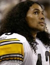 Booking Info for Troy Polamalu