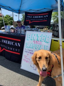 Golden Retriever at Pet Adoption Event Organized by AAE CARES