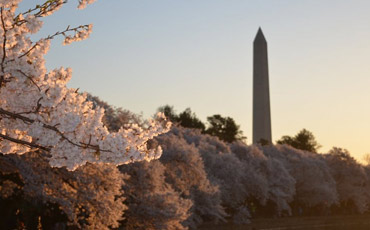 2017 Women's March on Washington Speakers