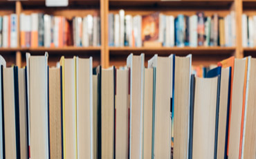 Bestsellers in January 2017