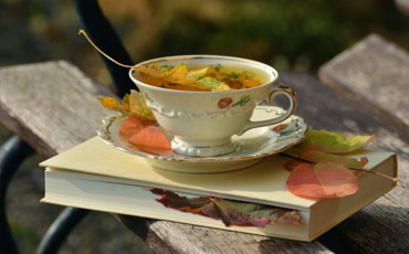 Fall 2017 Bestselling Authors