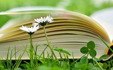 Authors of Popular Novels in the Spring of 2018